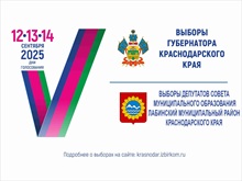 Выборы